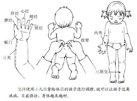 4.如何为家里体弱的孩子配备人体大药