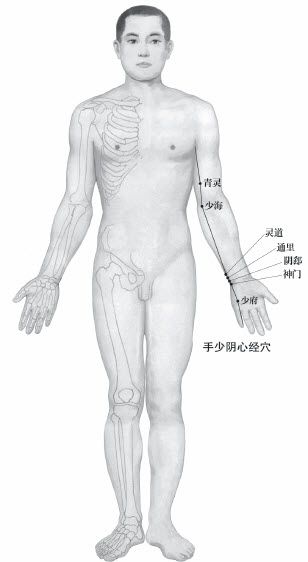 附录 人体常用穴位使用指南