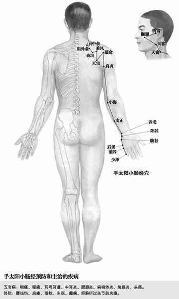 附录 人体常用穴位使用指南