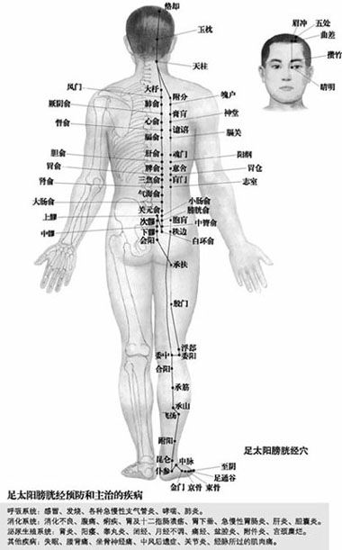 附录 人体常用穴位使用指南