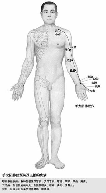 附录 人体常用穴位使用指南