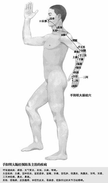 附录 人体常用穴位使用指南