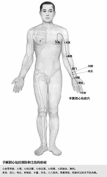 附录 人体常用穴位使用指南