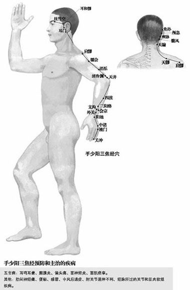 附录 人体常用穴位使用指南