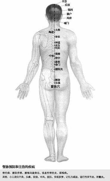 附录 人体常用穴位使用指南