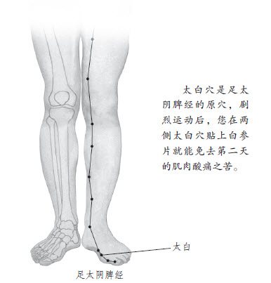 7.劳累过度，靠太白来补