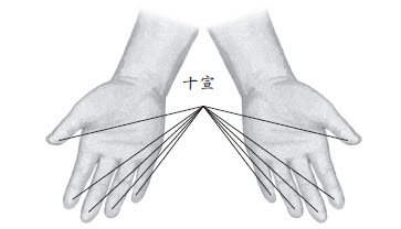 4.中风发作时，请在十指指尖放血