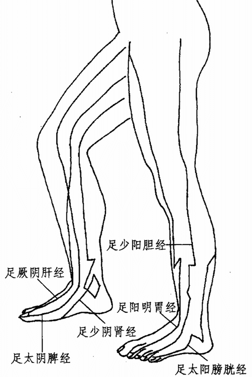足太阴脾经，足太阳膀胱经