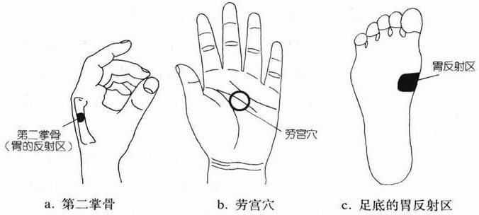 问胸、腹