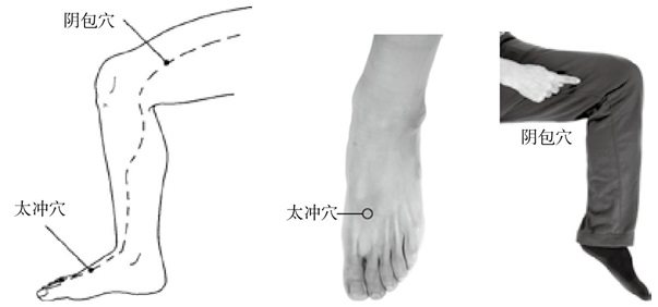 按时间规律发作的病症，自我调经络手到病除