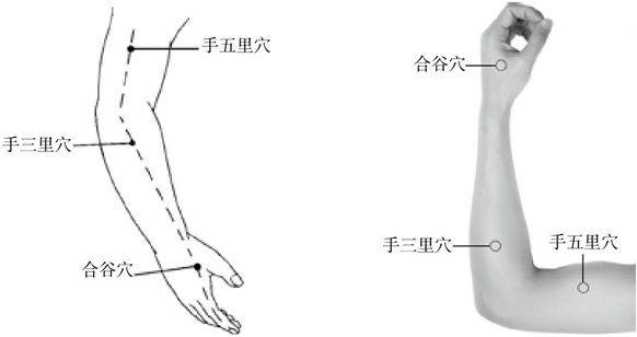 大肠经体检——探寻、清除大肠经隐患