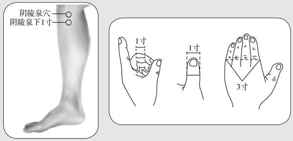 脾经体检——探寻、清除脾经隐患