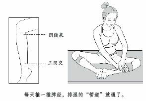 就在三阴交到阴陵泉之间灭湿毒