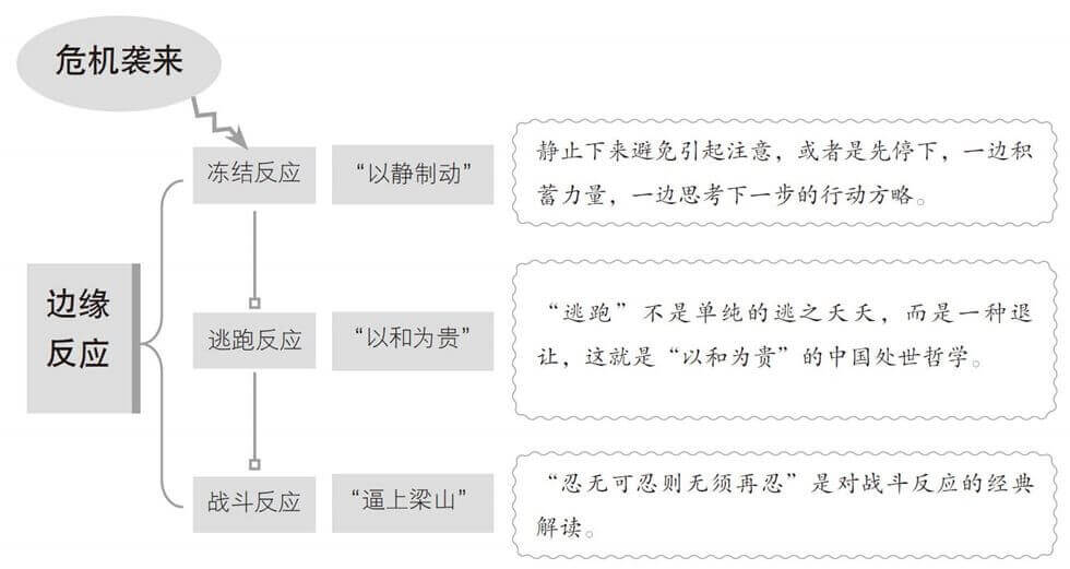 读懂心的理论基础：源自百万年前的边缘反应