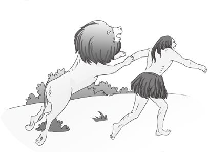 读懂心的理论基础：源自百万年前的边缘反应