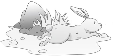 读懂心的理论基础：源自百万年前的边缘反应