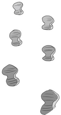 行卧起坐，微表情心理学最外层