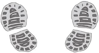 行卧起坐，微表情心理学最外层