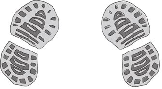 行卧起坐，微表情心理学最外层