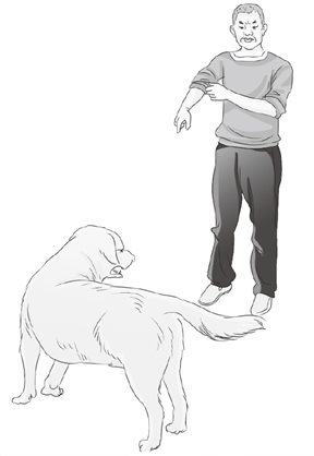 出卖内心的眉毛