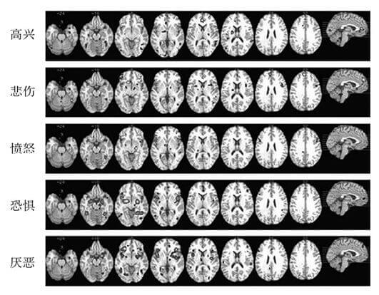  不同基本情绪的脑区激活似然图来源