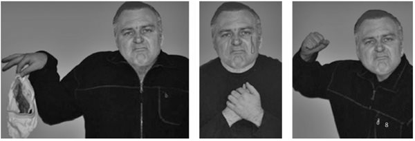  同一表情合成到不同身体姿势（来源