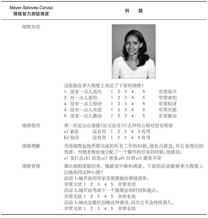 8.2.2 基于能力模型的情绪智力测验
