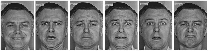  六种基本表情，从左至右依次为