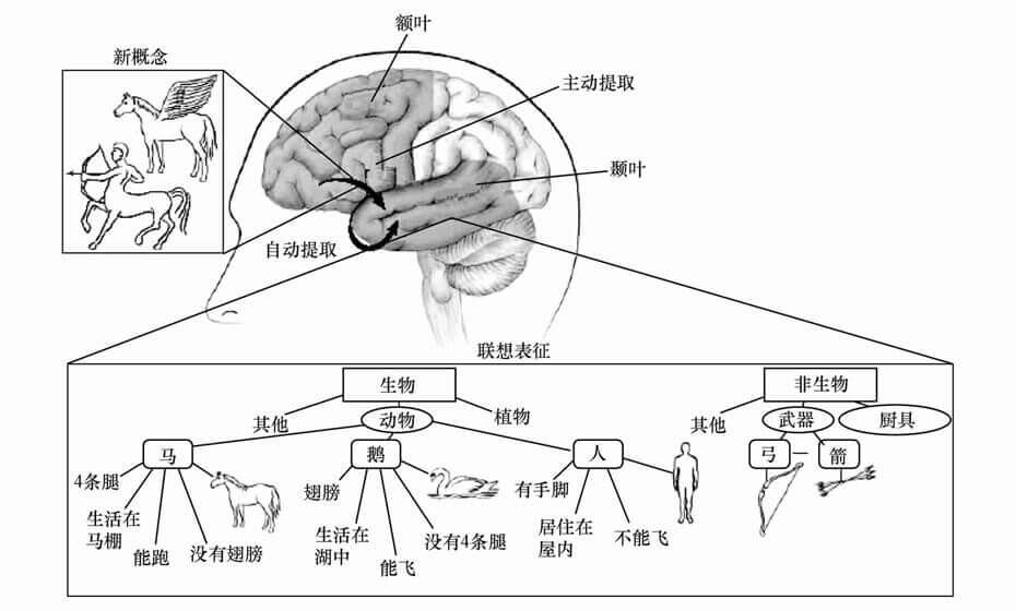 第三节 多重记忆系统及其脑结构基础