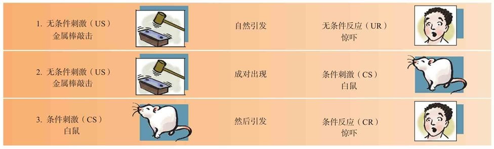  对小阿尔伯特的恐怖症的行为解释