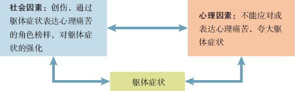  躯体症状障碍及分离障碍中的心身关系