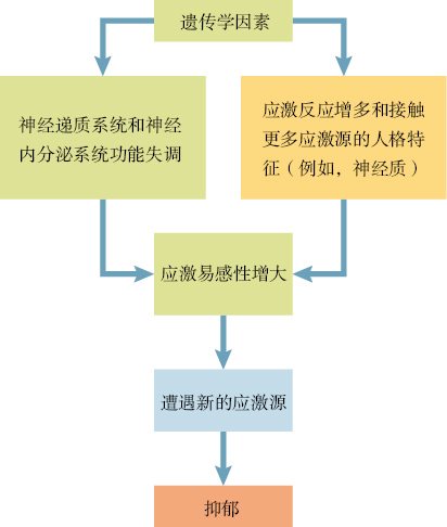  抑郁的整合模型
