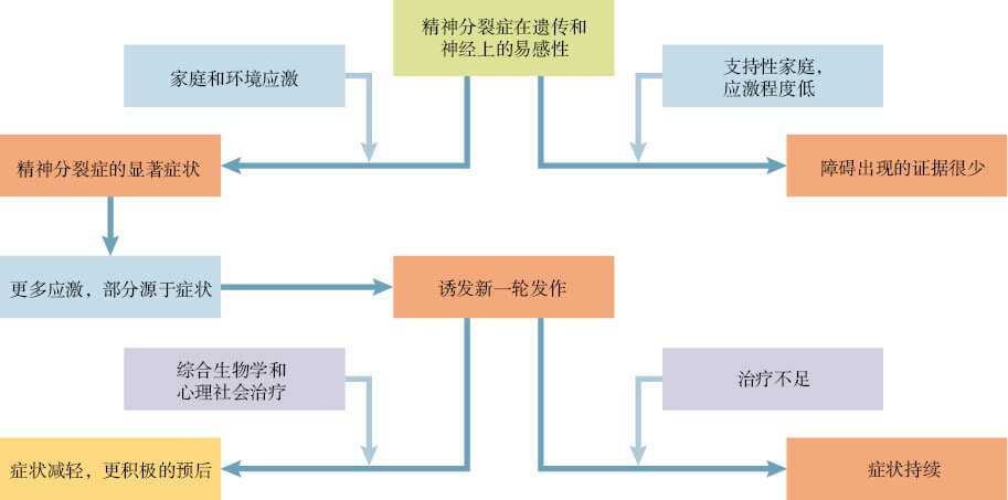  精神分裂症中生物学因素与心理社会因素的相互作用