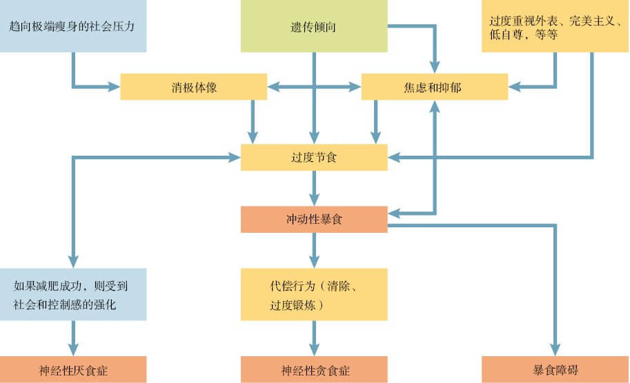  形成进食障碍的多种途径