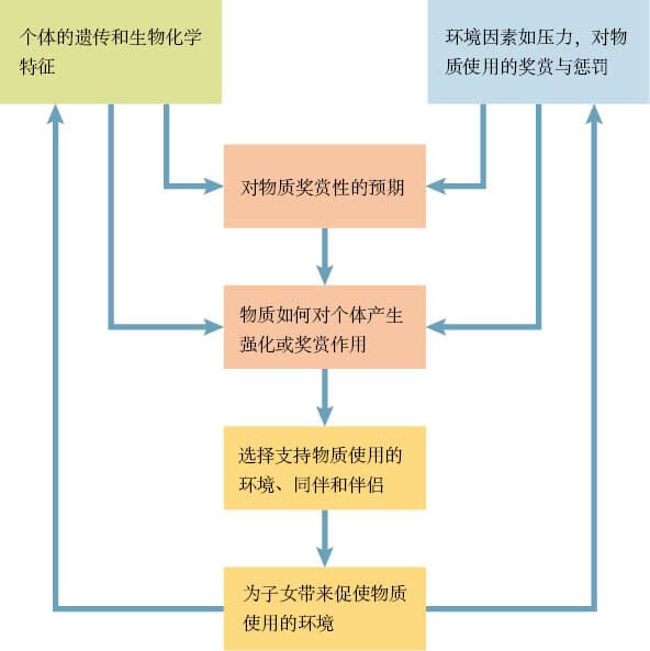  物质相关障碍发展的生物和心理社会因素整合