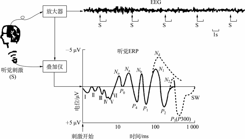 2.3 阅读心理的脑功能研究方法
