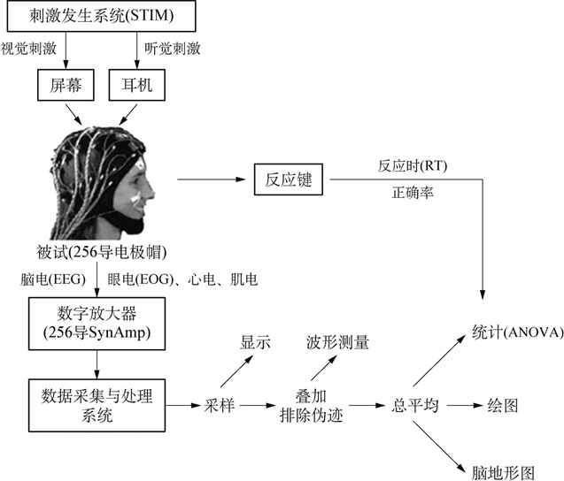 2.3 阅读心理的脑功能研究方法