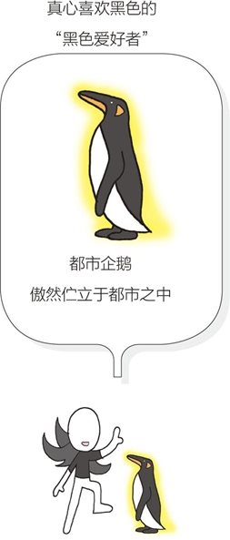 喜欢黑色的人的性格②