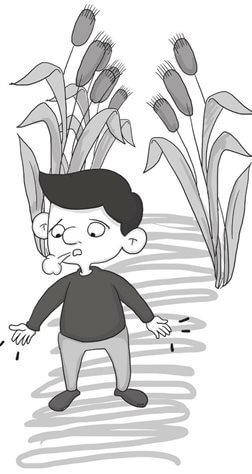 麦穗理论：不求最好的他（她），但求最适合的他（她）