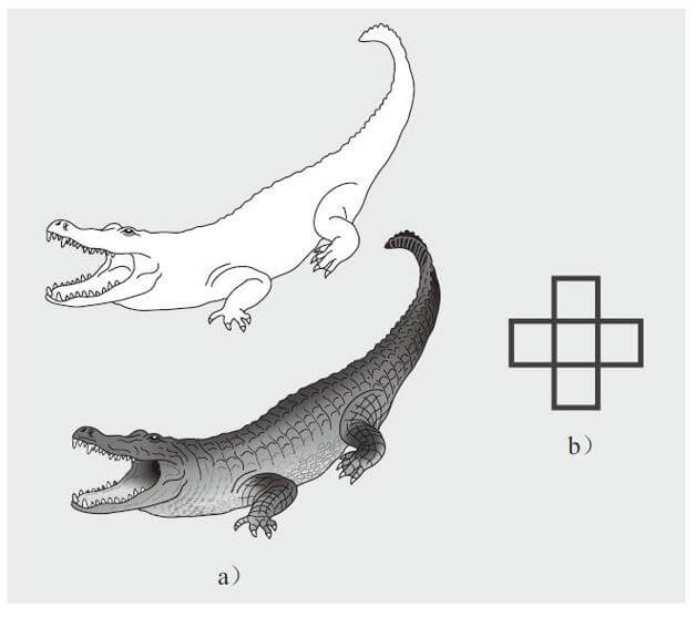 Kosslyn等人（1983）研究采用的刺激