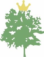 世界已经被玛丽苏承包了