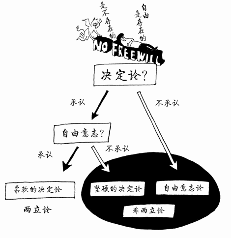 实验5 道德药片