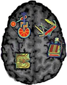 左边危险右边安全