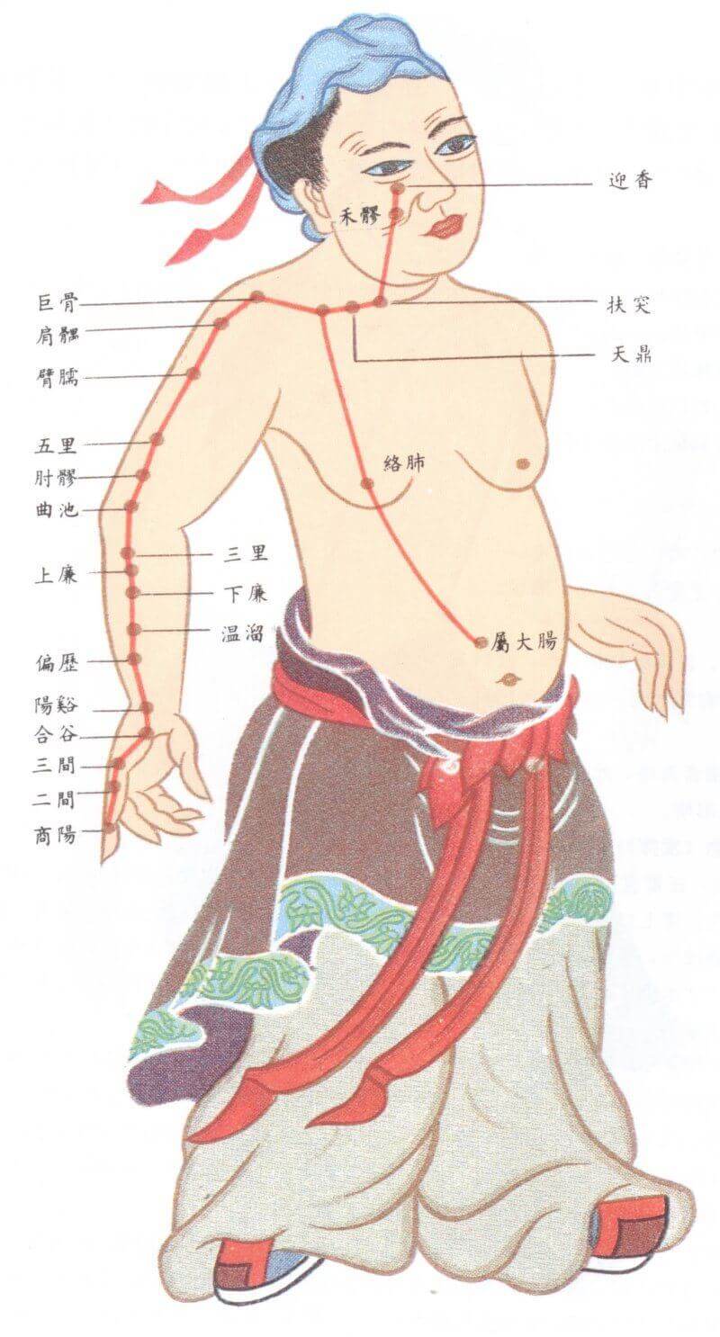 手阳明大肠经之图 手阳明大肠经之图