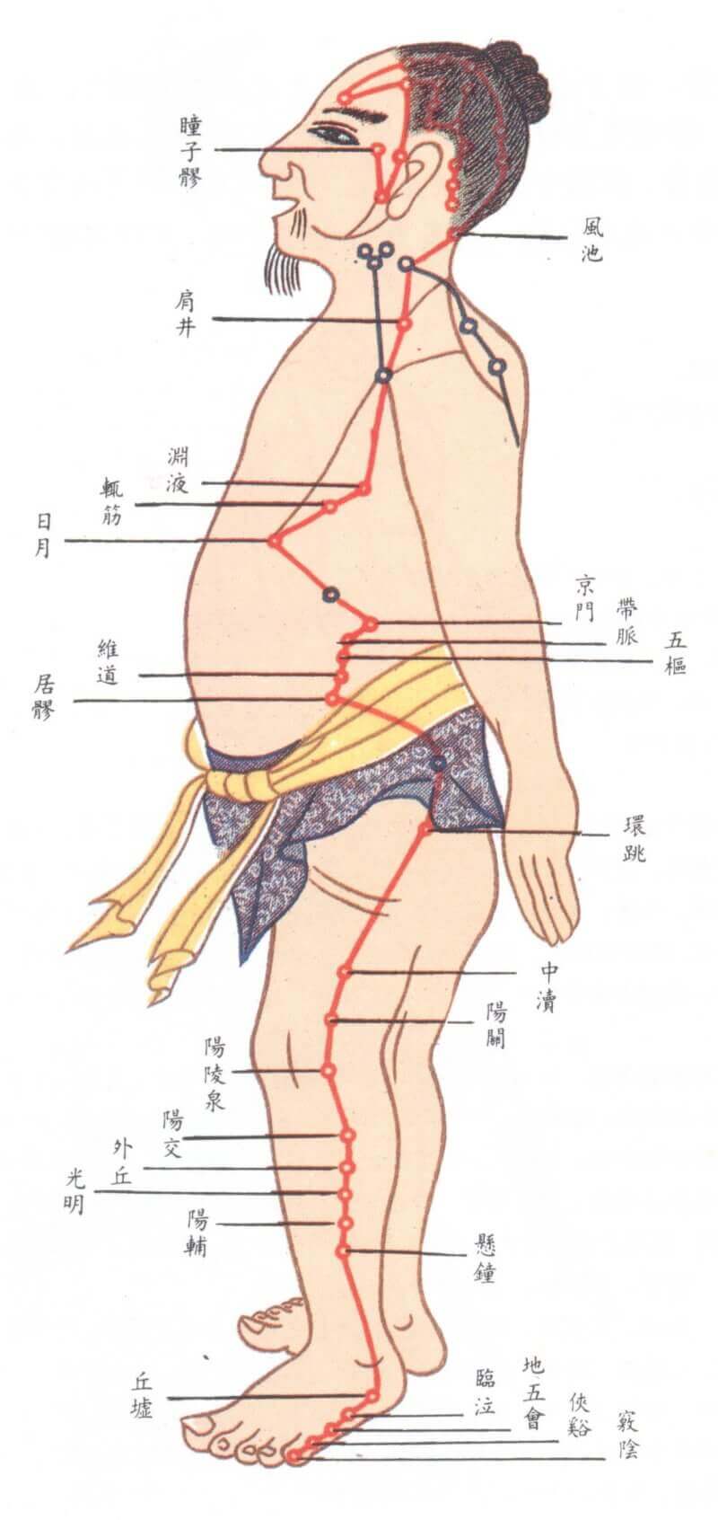 足少阳胆经之图 足少阳胆经之图