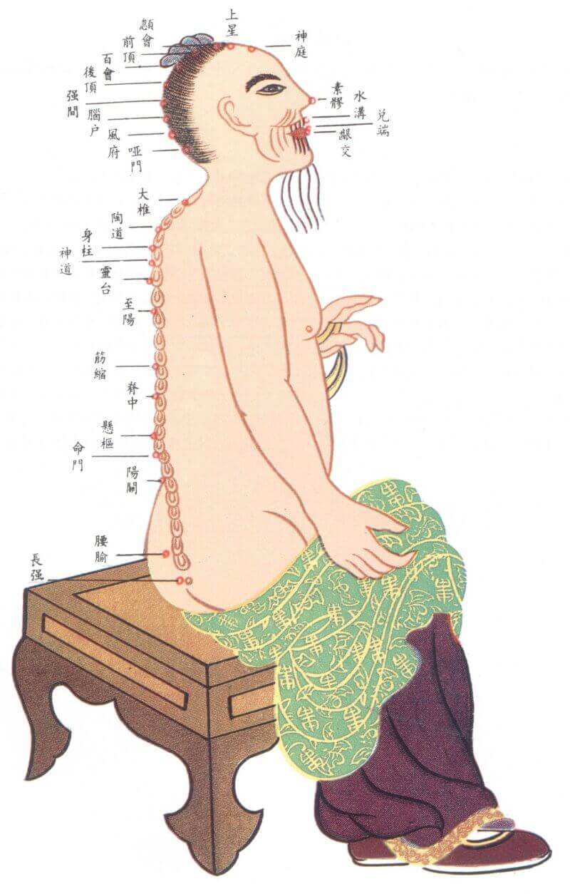 督脉之图 督脉之图