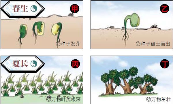 天干地支