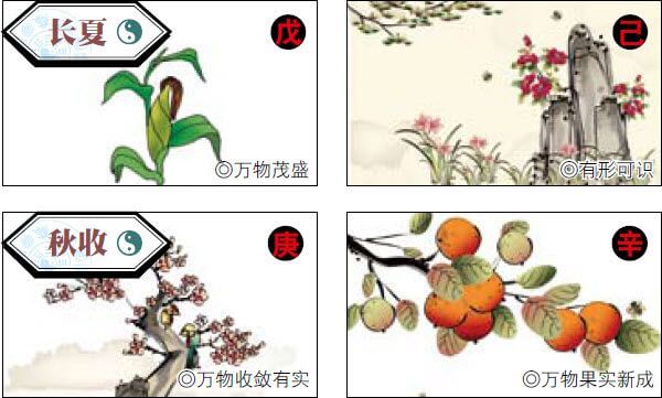 天干地支