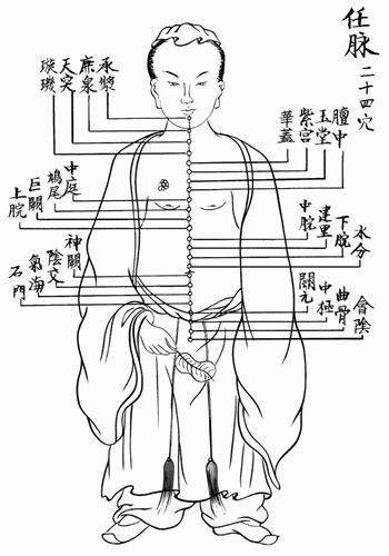 任脉与督脉
