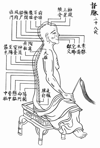 任脉与督脉